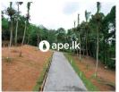 Meegoda Land For Sale